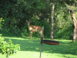 safrica/IMG_0376 (WinCE).JPG